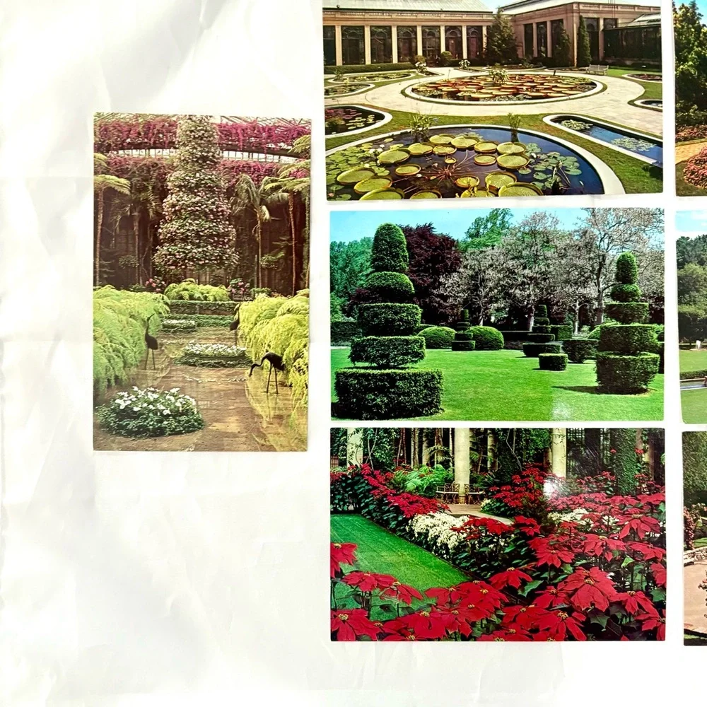 Lot 9 Vintage Postcard Longwood Gardens Kennett Sq PA Ephemera Botanical Unused
